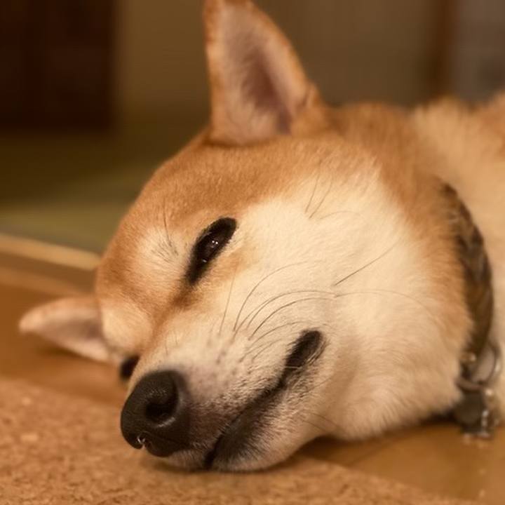 0857c21d 6f13 4363 8515 1338efed12ca 1663940110737