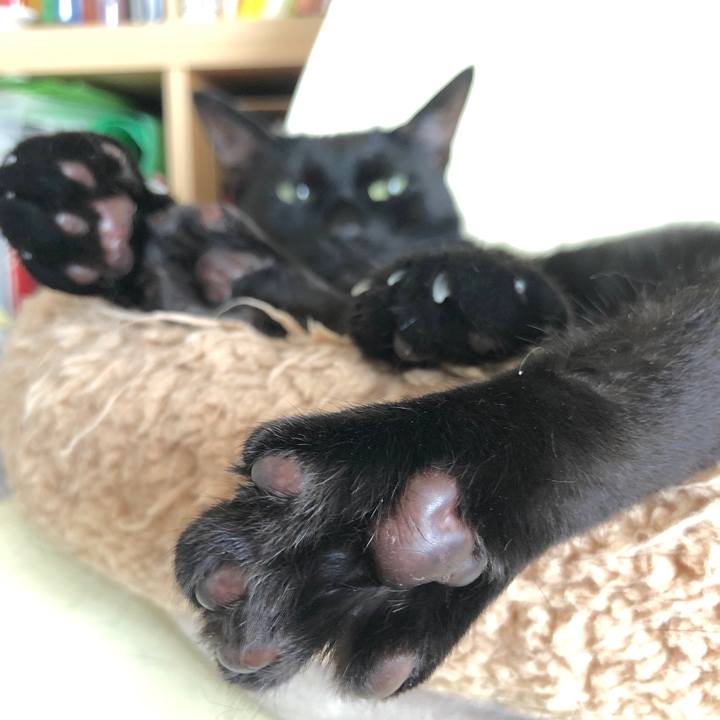 0857d3bf 1430 48eb b5e5 1c69258354a4 1596025705405