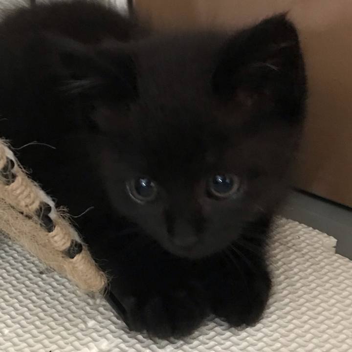 0857f59d c864 4b58 aaca a4d53e95d476 1657766797564