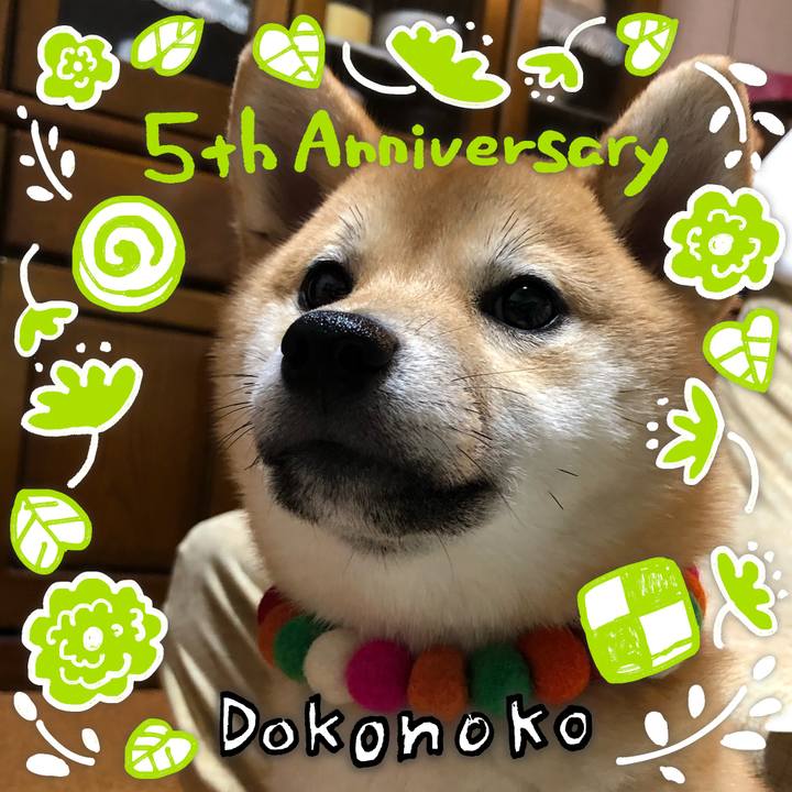 085830eb 074c 4e87 bb84 ea54734b0c0b 1622959054065