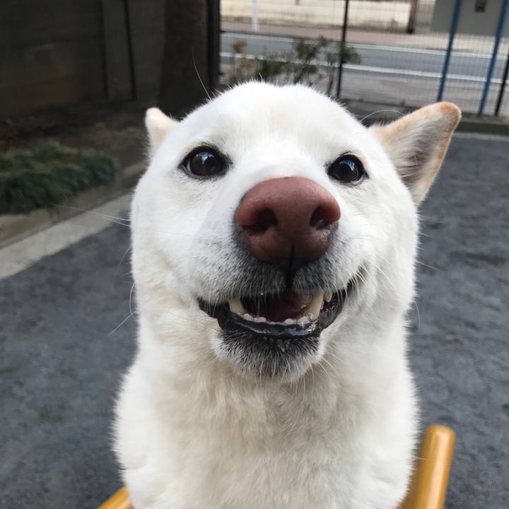 08586d54 8a02 4810 bd2f 186039b940c3 1518046609223