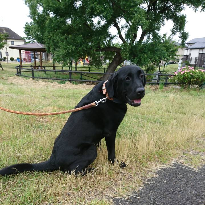 085881f9 2c97 468e 8133 b6f1d03f4089 1529099624184