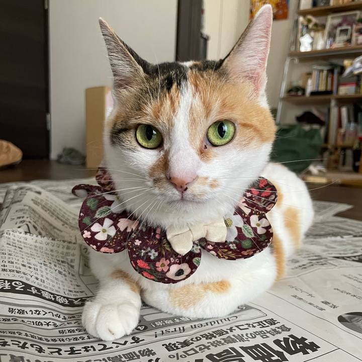 0858849d 2f4a 4940 80b5 25622898fce7 1752372342429