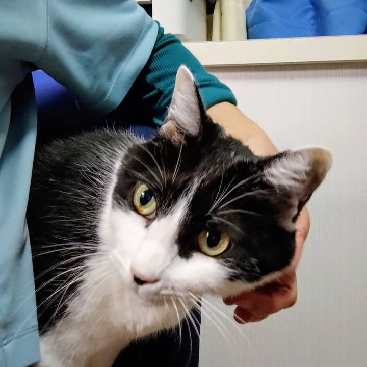 0858c85b 2585 477a b1bc 7328b53349ef 1761395140614