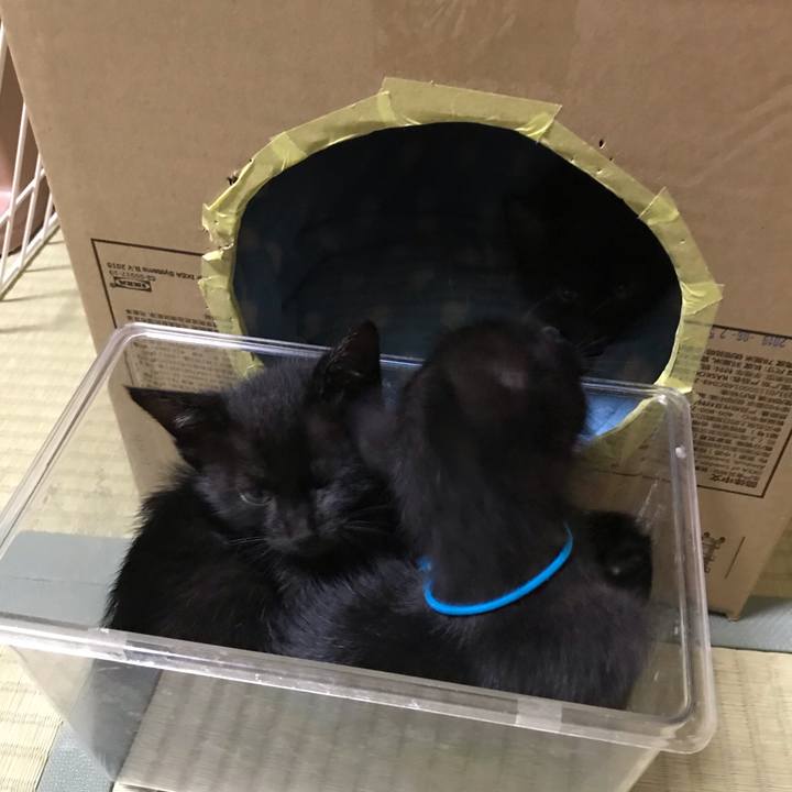 0858f4f9 f2e6 47df a42e 57bb3524884e 1572311395293