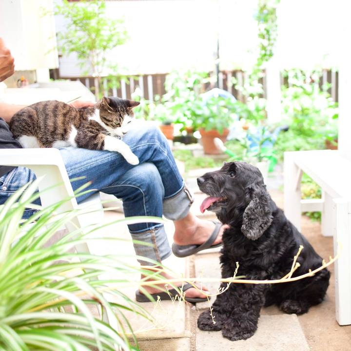 08590c8b 01a8 4569 90bd ce535b932648 1592193503581