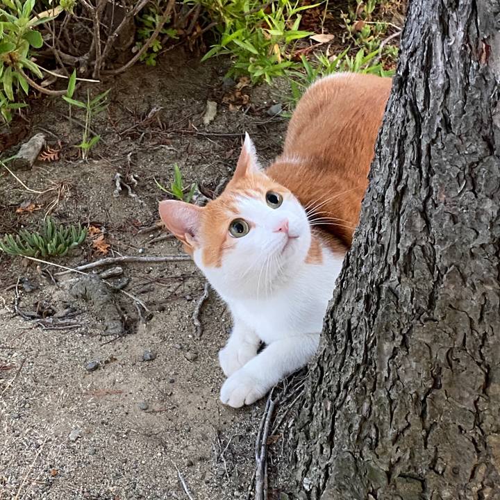 085929fa 73ff 4daf b289 2dbe588d9fe6 1592057546106