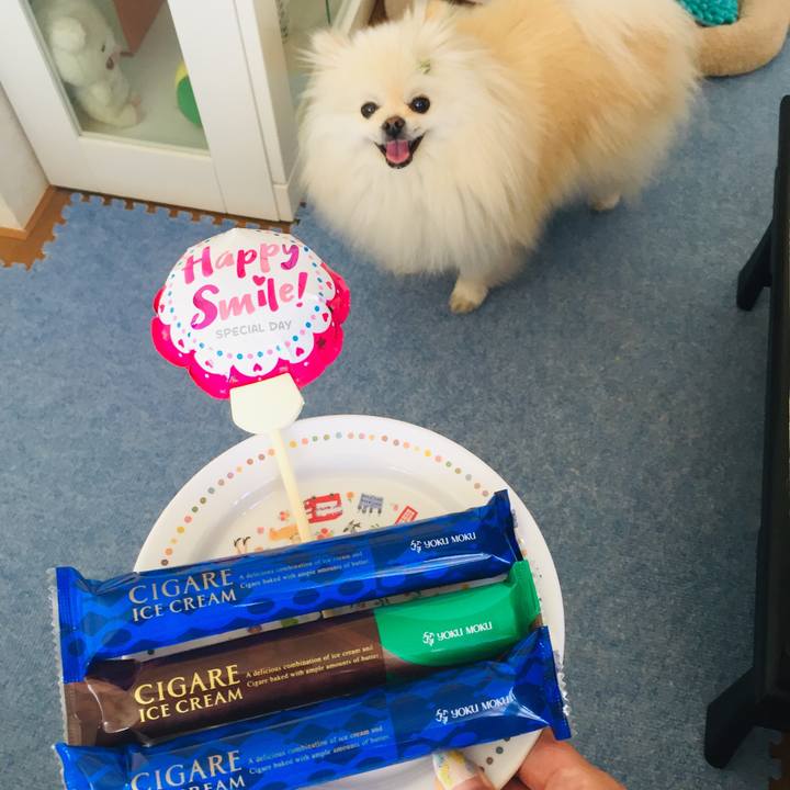 085975a1 7d85 4061 ba64 64d81355ba63 1558934980058