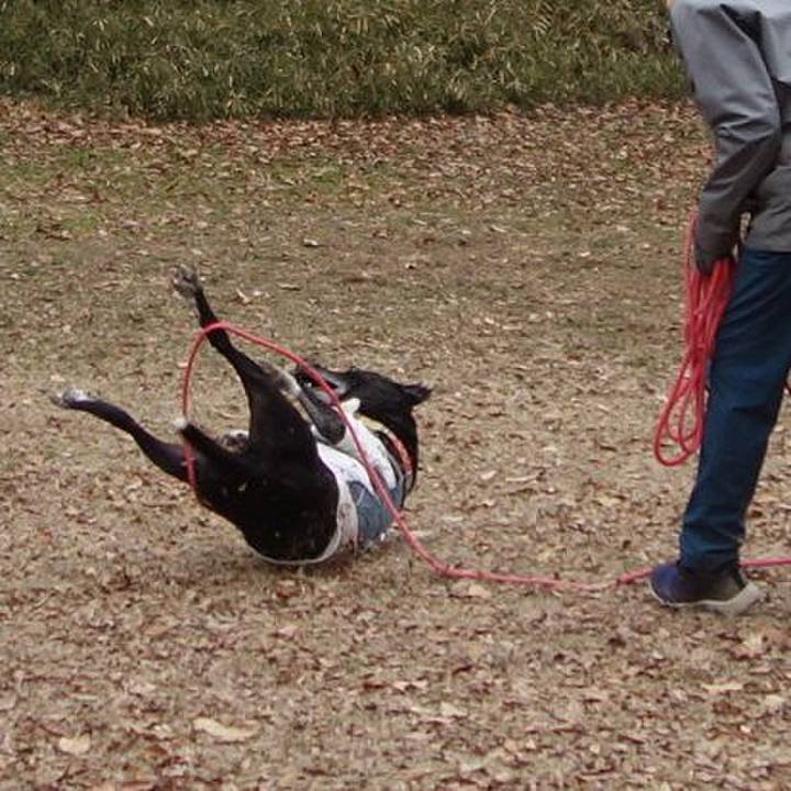 0859a82e a0da 49f0 828b 21c8269fe3da 1704934570340