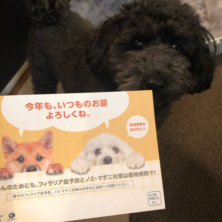 0859bd7f f037 47ed bae9 2f857264f452 1584007561478