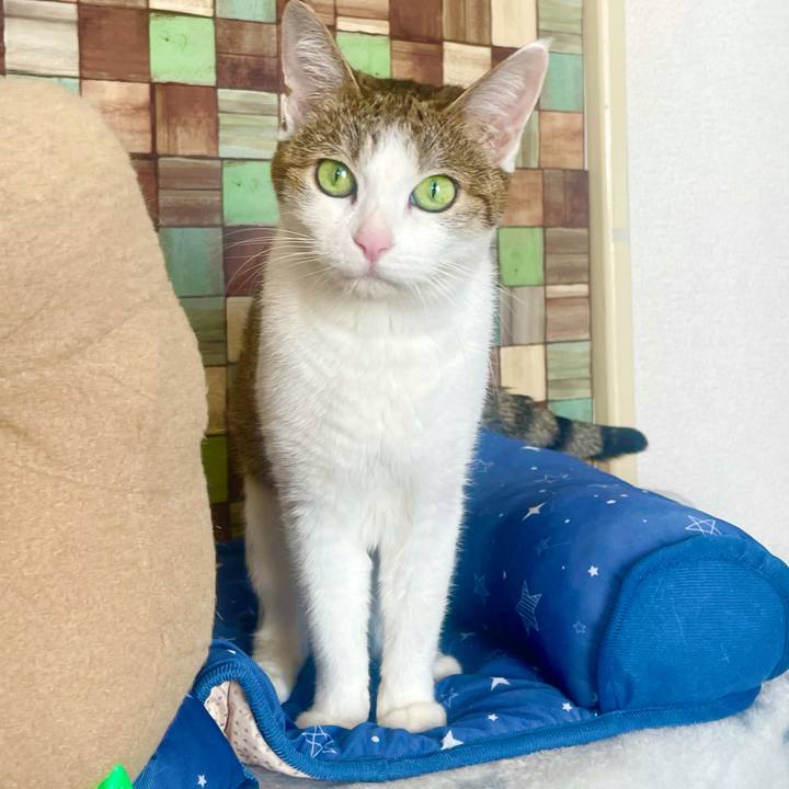 0859deab 2a7a 4854 af93 f9b5cb7e949d 1634961795975