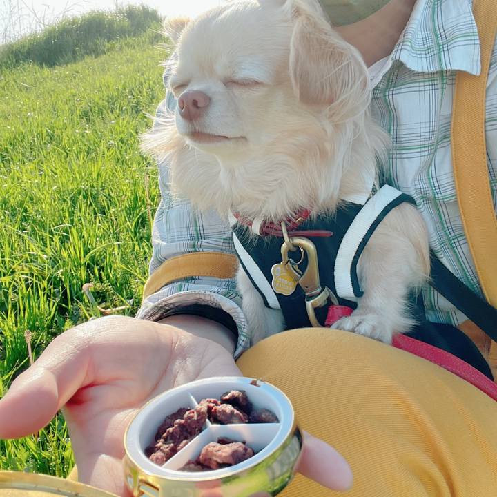 0859e1c7 462a 43a3 b3f8 45b61230d4bf 1649236561952