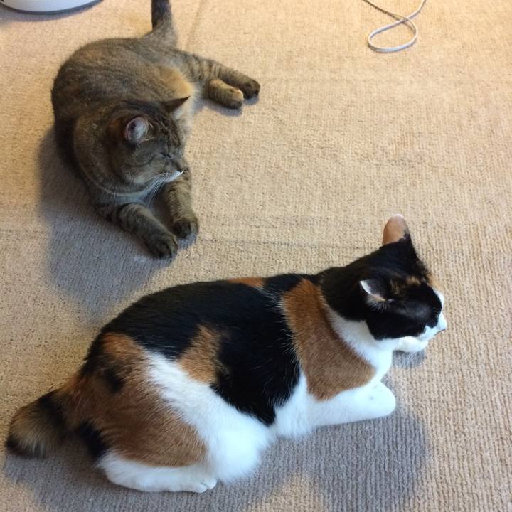 0859fe73 b134 4f8a b131 cb4c62bfcbc6 1568281524192