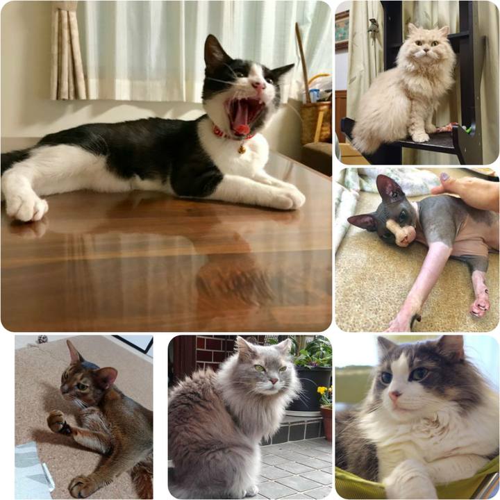 085a3ba4 88e5 4d28 a4c3 44f41b4bca56 1566559953402