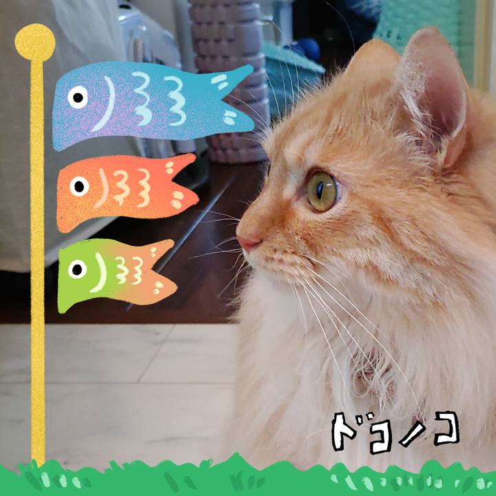 085a581f 5a18 490d abac 71f38476ce4c 1714886927286