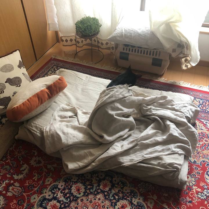 085a9c41 e082 4f9d a34d 2e1f621b6a06 1557355363491