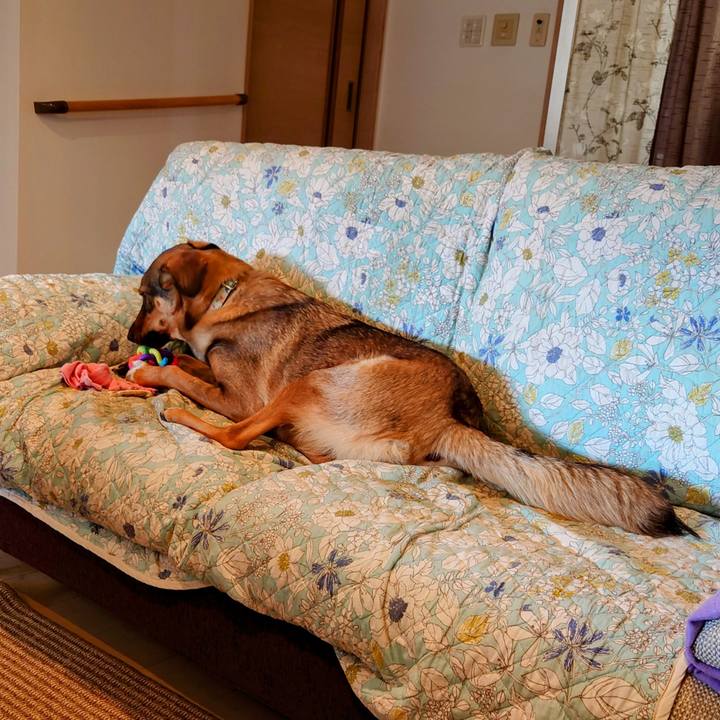 085ae51b a3c2 40a6 96a6 8ca437a4701b 1714614759728