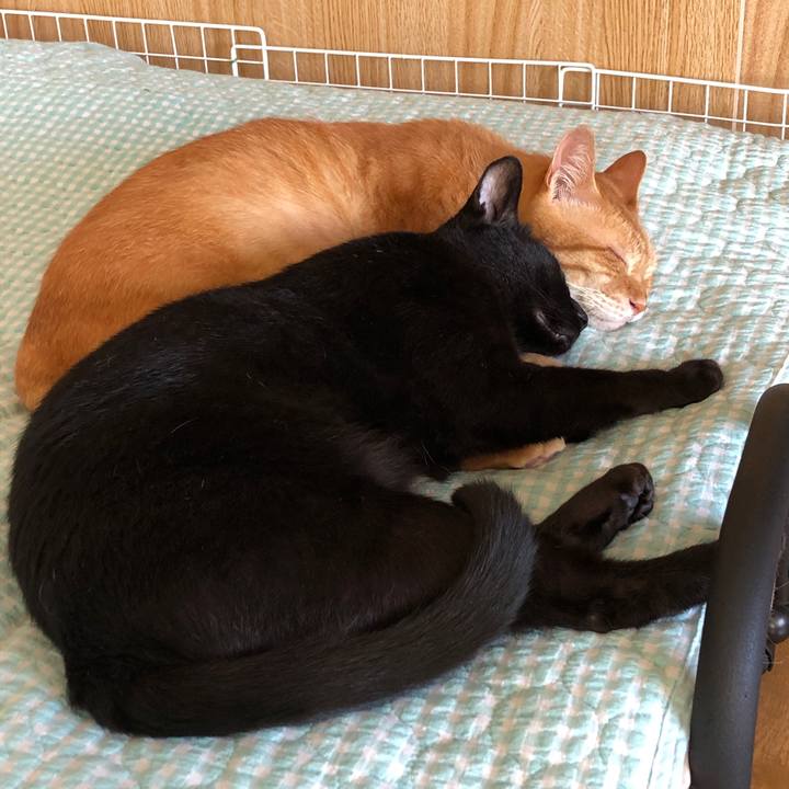 085af885 2963 434e bc88 c6e65cdf067d 1691881198884