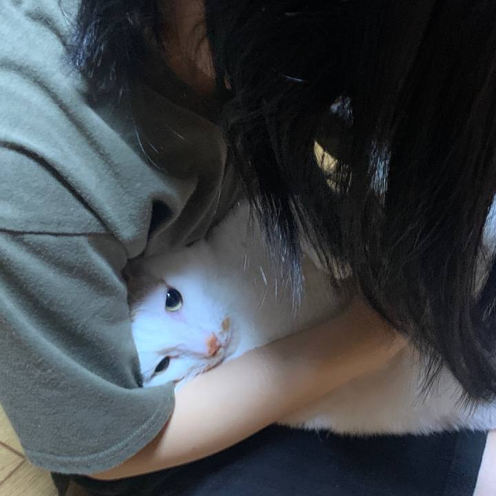 085afba0 0fbc 48a6 bbab ebdd93c91511 1653751696750