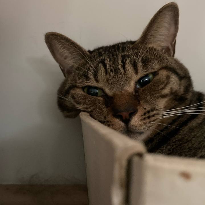 085b09cf ebd0 4c0b 8d8e 19a5615d2751 1724286557152