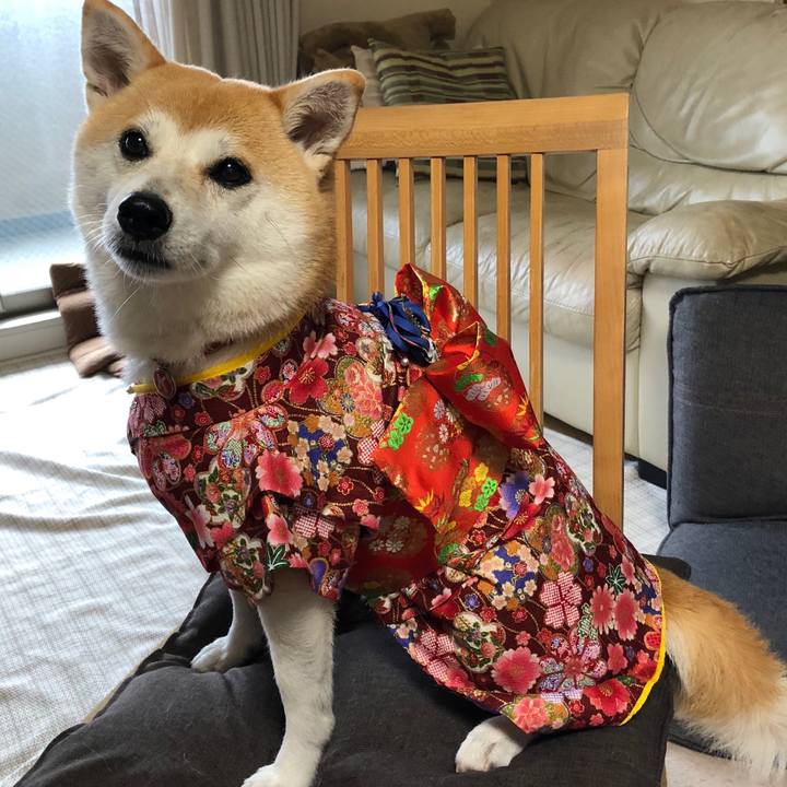 085b1373 59d4 4345 a592 1f0b595997e5 1537013936812