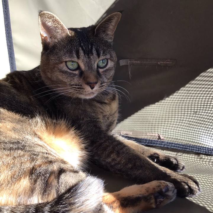 085b1e99 4559 4ae0 931a 290bbcde02d9 1737866820790