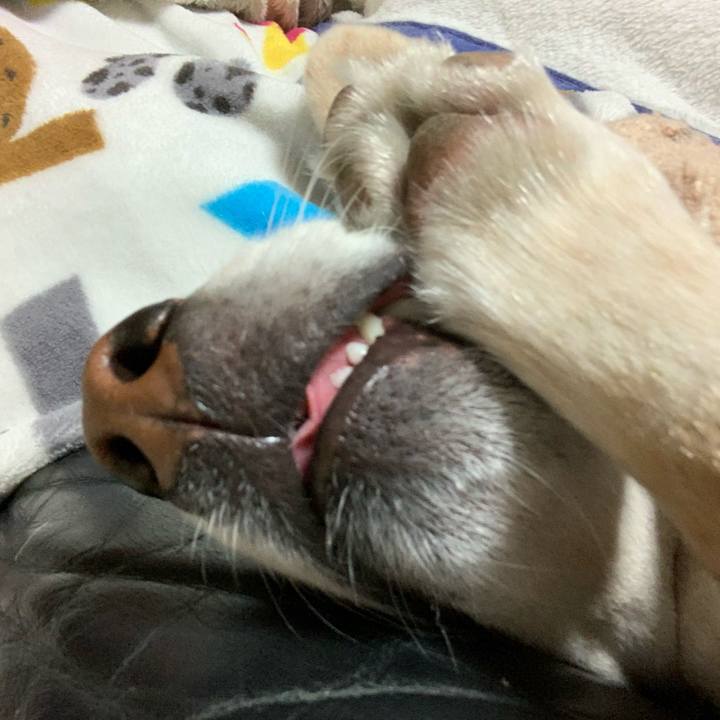 085b3476 b8bc 459f 98fe 4ac8a1015de0 1608257271685