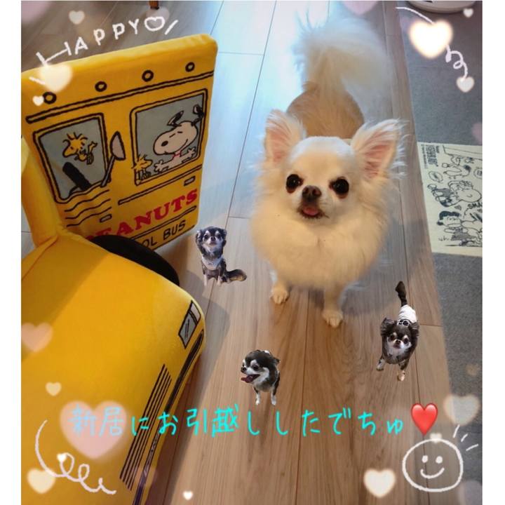 085b4340 a846 461d afd9 176fc176145f 1594647150813