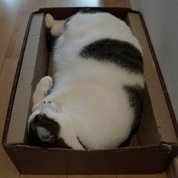 085b9e3c ff27 48b0 ac5c 06e8cb3ded29 1562111852618