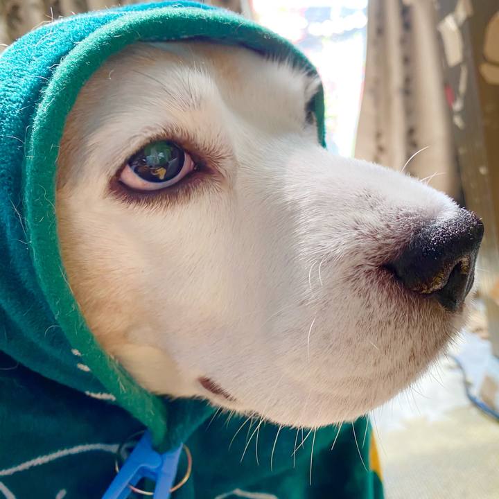 085ba1f9 3307 47f0 a48c e735673ac553 1618026423266