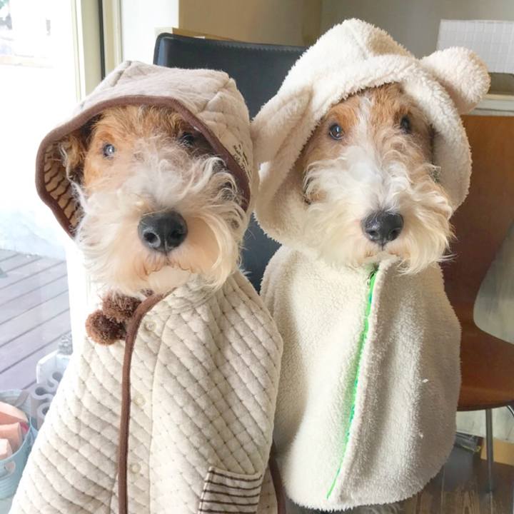 085bb2e7 6ab8 4269 b669 613e2e53f847 1510885563285