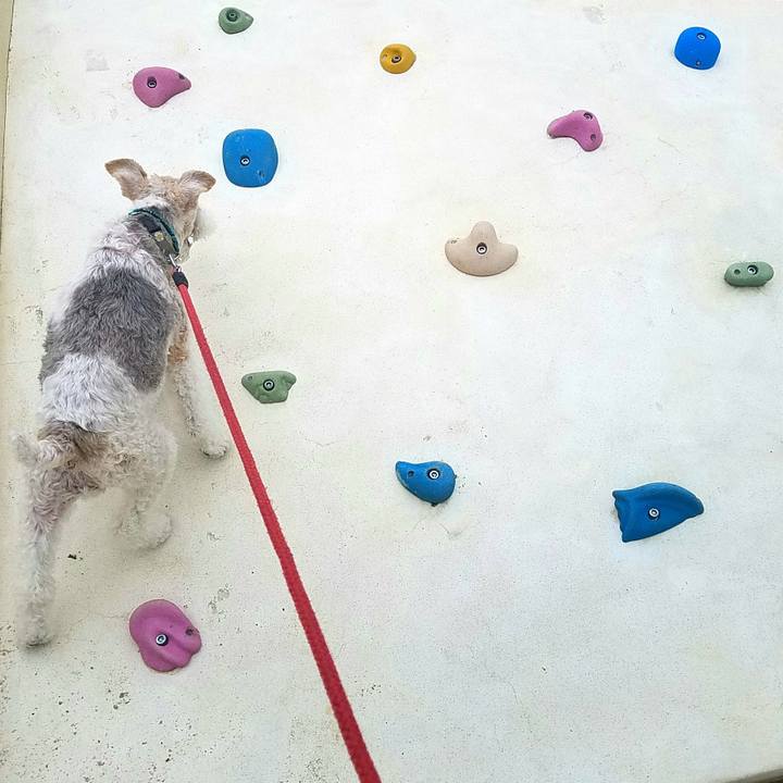 085bba70 a55f 4a43 97d1 a02d0568c3c2 1567237190252