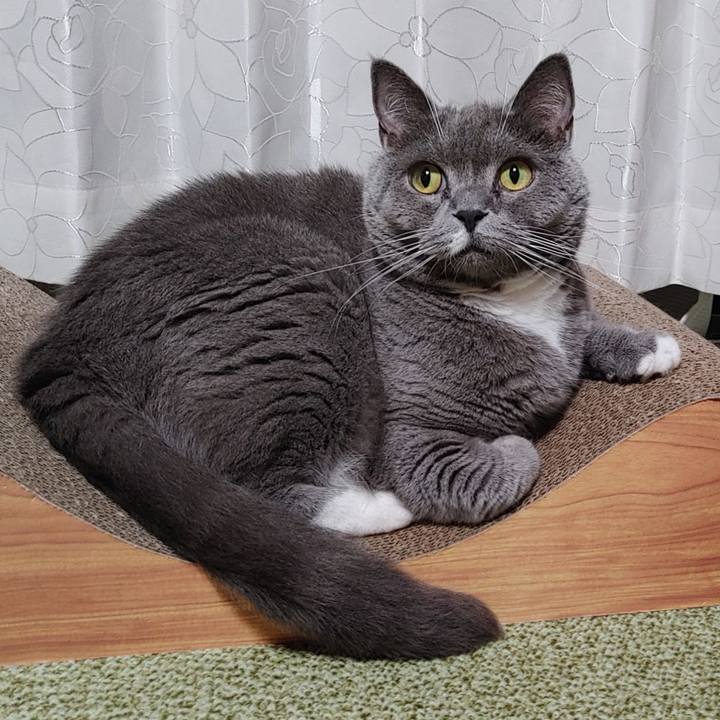 085c37e6 d927 4434 a80b 978f2dfce554 1631104895690