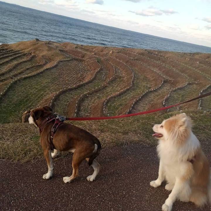 085c3ab4 9a6d 49dd b637 ea72648178b7 1668431535494