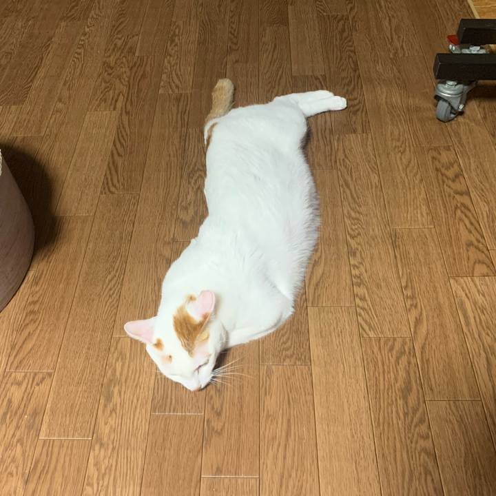 085c8b75 6ba9 41ce 9e5d d8053d719568 1573624156885