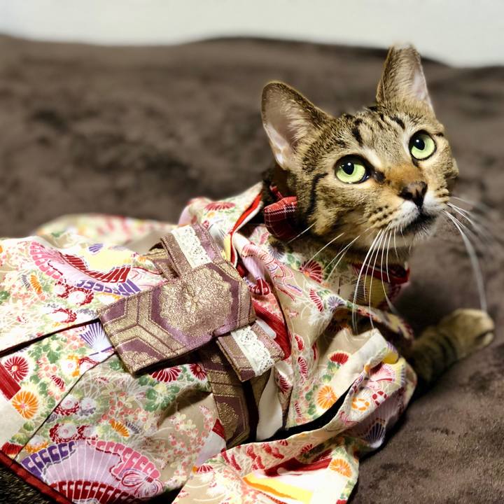 085ca49f 1399 4a10 b280 23d408429a13 1546424366263