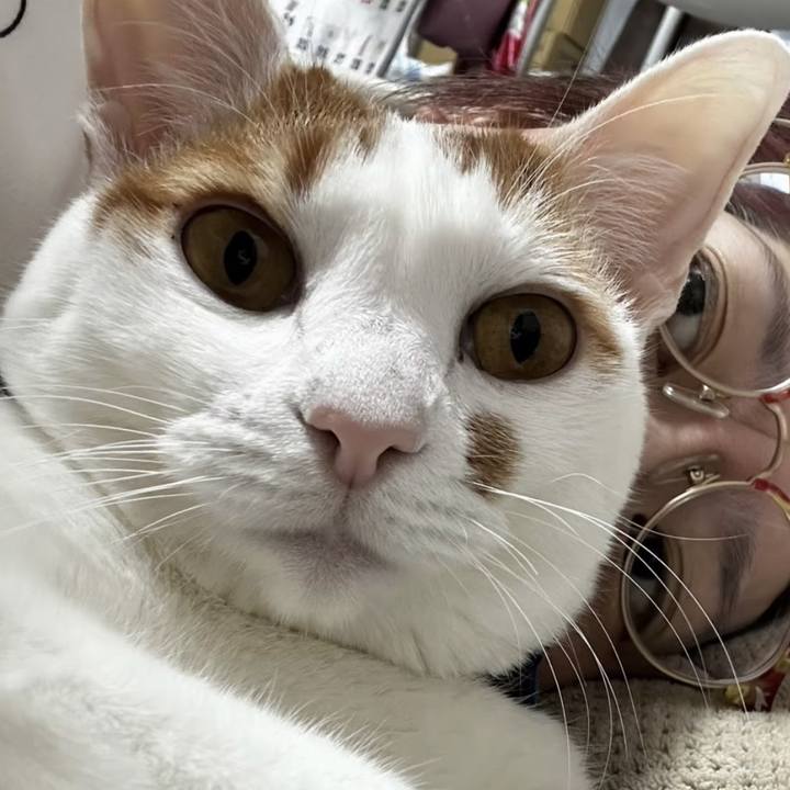 085ca641 5746 4bfd b886 44f7a96de406 1769444688026