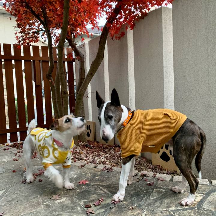 085caee9 2b10 42ea 822b 14fafac47a67 1607773408007