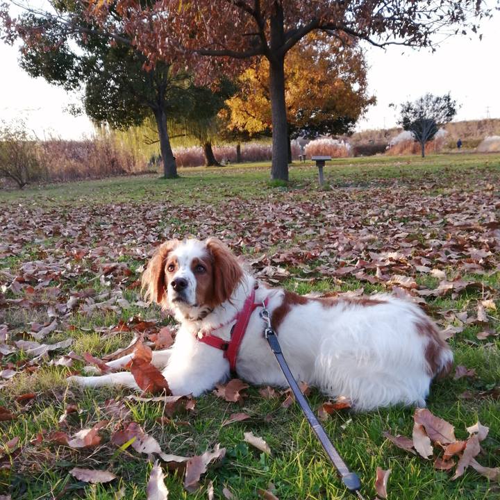 085cdd18 e0d9 439e af60 30e696110482 1576236346686