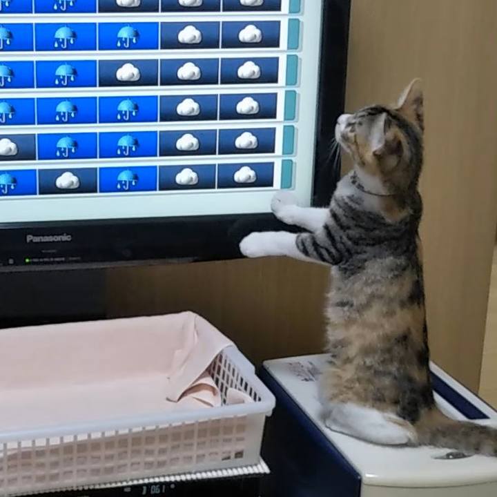 085cec82 4262 4b11 91a6 f9be89fcbe86 1630663996346