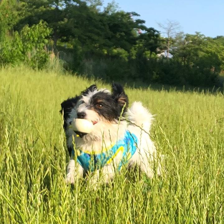 085d2253 5f17 4c07 8900 4a4fcc56325d 1559772952420