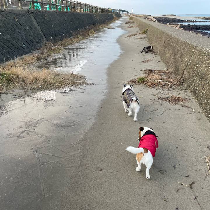 085d4c4b febe 431a 906b ebdcd1d95e17 1736119190001