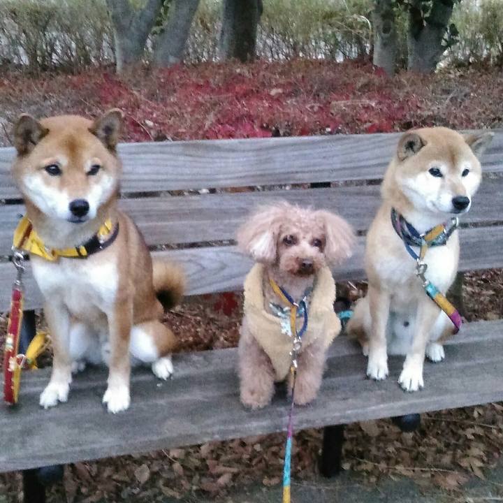 085d504e 5031 4581 9bad 86f23c010839 1512722378099