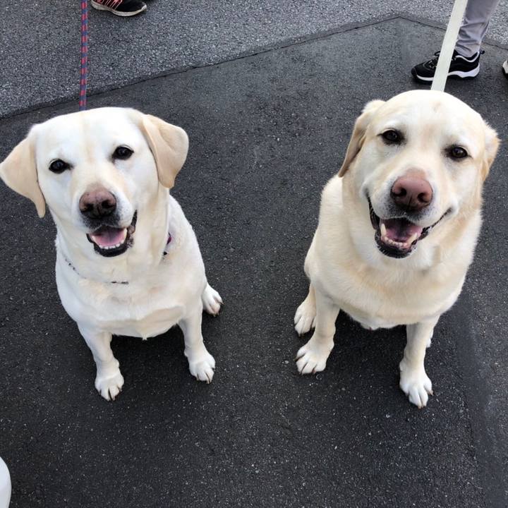 085d62b0 253c 4fe4 b55a 1282653f923d 1648011446479