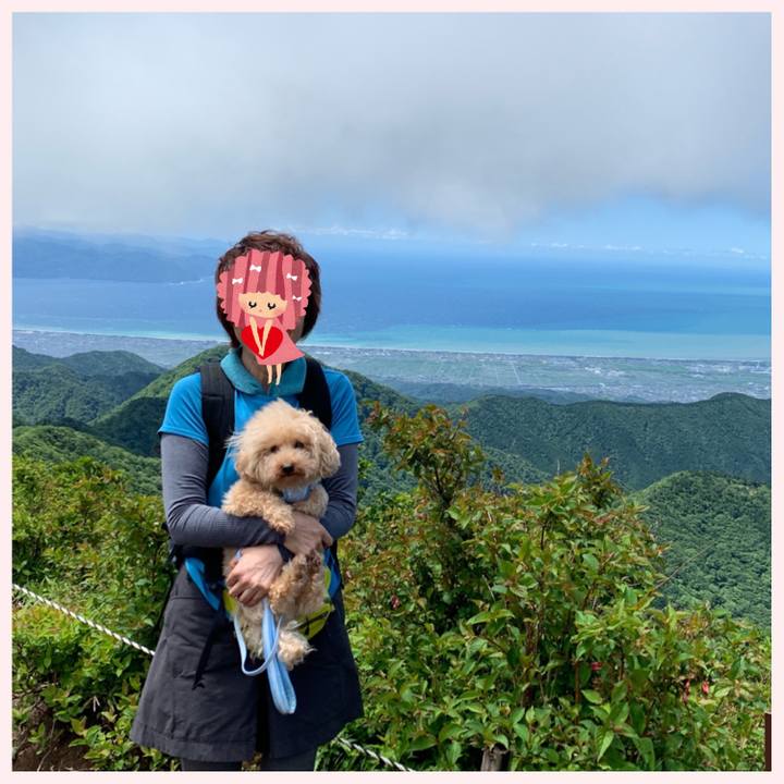 085d8846 aa66 4f4c a03d 3356216d8a4f 1560657250114