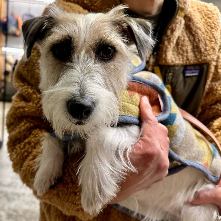 085d9ce7 b551 4cc2 8d97 c4d70dedc391 1704693177825