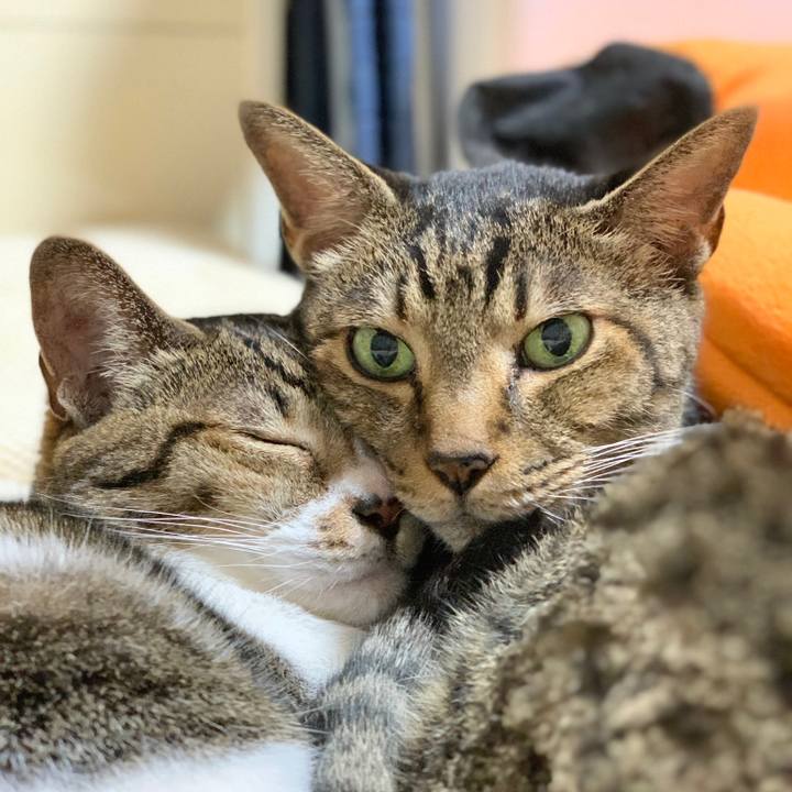 085dad73 835c 44e0 820e 5eff29c6ef38 1570931885615