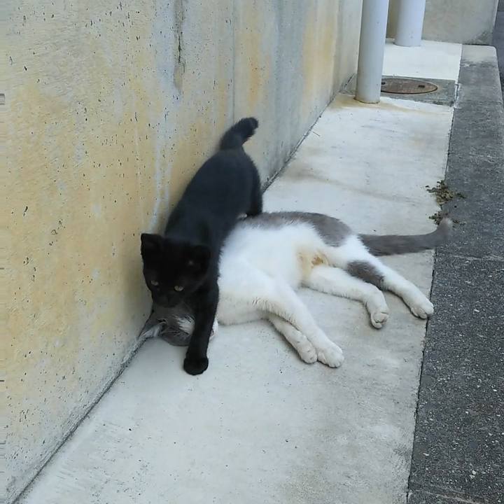 085dda8f 6d36 4162 b0f0 b15984ec0321 1530414224573