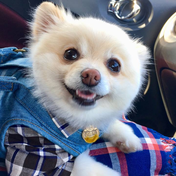 085de06d a438 48f1 8212 44ad154dbb60 1556755002845