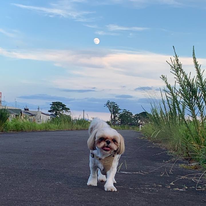 085de918 e62d 400d b4ea aa683c75800e 1626952851556